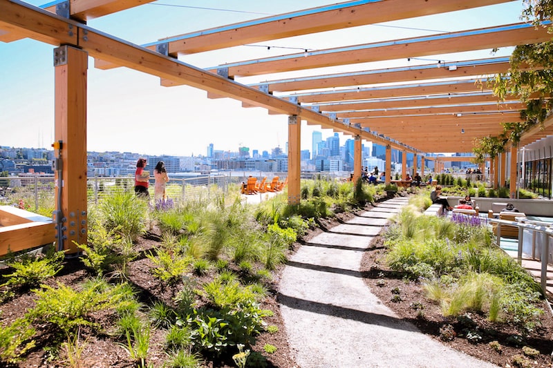 view of Meta green roof with path under awning with greenery