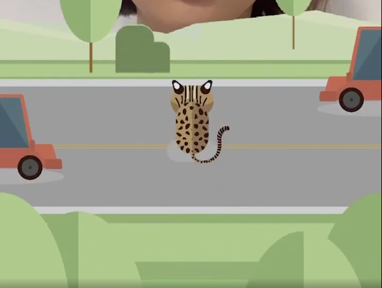 view of AR filter game to have leopard cat cross busy road