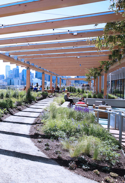 View of green roof at Meta office with seating and employees walking on pathway with greenery and plants all around