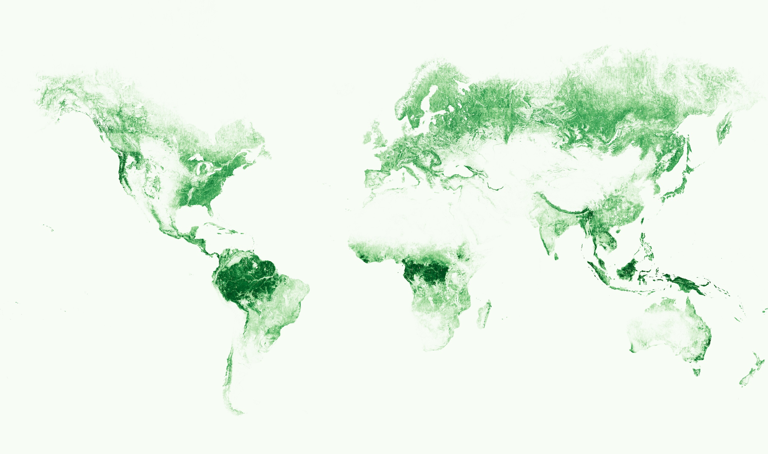 A map of the world’s canopy height obtained from AI models analyzing high resolution satellite imagery.